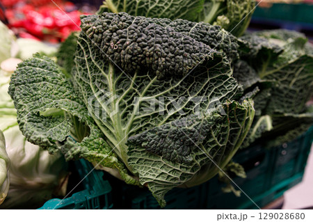 Fresh Savoy Cabbage Displayed in a Market: A Vibrant Showcase of Green Vegetables with Intricate Leaf Patterns and a Fresh, Nutrient-Dense Appearance in a Vibrant Setting Fresh Savoy Cabbage Displayed in a Market: A Vibrant Showcase of Green Vegetables with Intricate Leaf Patterns and a Fresh, Nutrient-Dense Appearance in a Vibrant Setting 129028680
