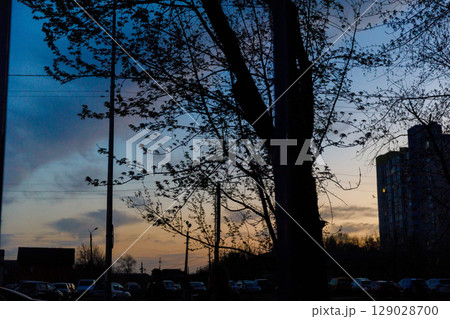 Evening Scene with Silhouetted Trees Against a Colorful Sky at Dusk in an Urban Setting with Buildings and Cars in the Foreground Creating a Peaceful Atmosphere 129028700