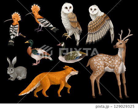 Wood's animals and birds isolated. Vector. 129029325