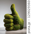 Moss-Covered Hand Sculpture Giving Thumbs-Up Gesture in Natural Green Texture 129029360