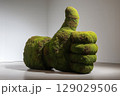 Thumbs-Up Hand Sculpture Made of Green Moss in Natural Outdoor Setting 129029506