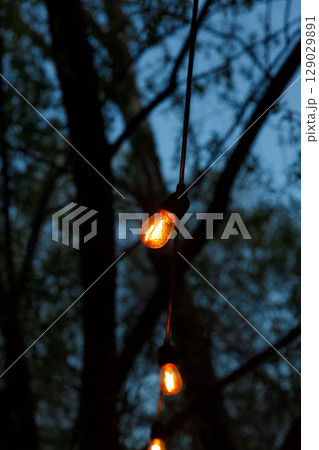 Glowing Vintage Bulbs Strung Through Trees at Dusk - A Serene Evening Ambiance with Warm Light and Nature's Beauty Captured in a Picturesque Moment 129029891