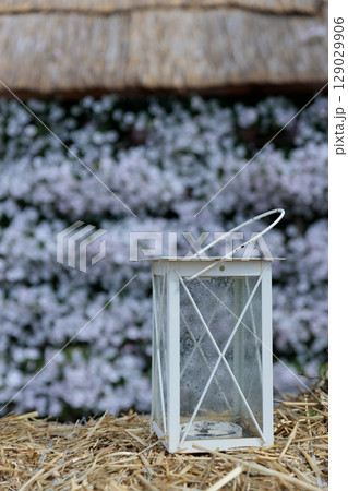 A Rustic White Lantern on Straw Against a Background of Beautiful Blossoming Flowers in Soft Focus, Perfect for Autumn or a Romantic Outdoor Setting to Highlight Nature's Beauty A Rustic White Lantern on Straw Against a Background of Beautiful Blossoming Flowers in Soft Focus, Perfect for Autumn or a Romantic Outdoor Setting to Highlight Nature's Beauty 129029906