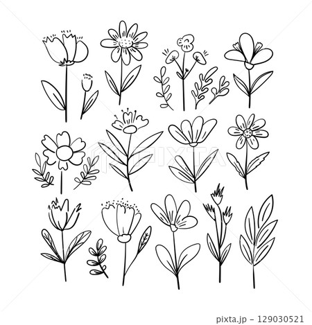 Vector set of hand-drawn outline flowers and plants. Minimal botanical line art collection. Contour floral illustrations for graphic design. Vector set of hand-drawn outline flowers and plants. Minimal botanical line art collection. Contour floral illustrations for graphic design. 129030521