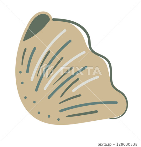 Vector illustration of a single colored sea shell on white background. Elegant drawing for coastal graphic compositions. 129030538