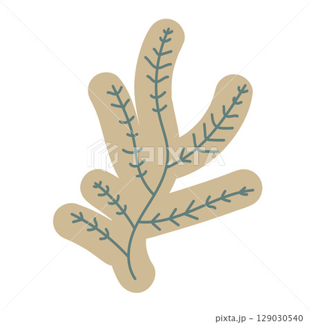 Hand-drawn sea grass graphic element in flat vector style. 129030540