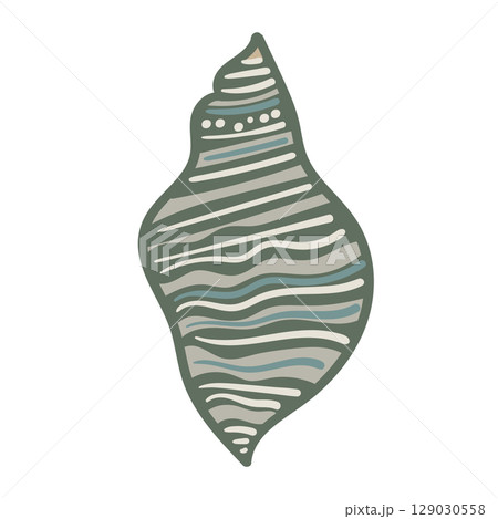 Vector illustration of a single colored sea shell on white background. Elegant drawing for coastal graphic compositions. 129030558