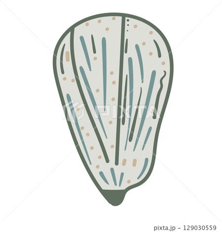 Vector illustration of a single colored sea shell on white background. Elegant drawing for coastal graphic compositions. 129030559