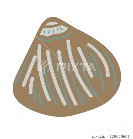 Vector illustration of a single colored sea shell on white background. Elegant drawing for coastal graphic compositions. Vector illustration of a single colored sea shell on white background. Elegant drawing for coastal graphic compositions. 129030601