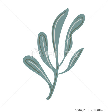 Hand-drawn sea grass graphic element in flat vector style. 129030626