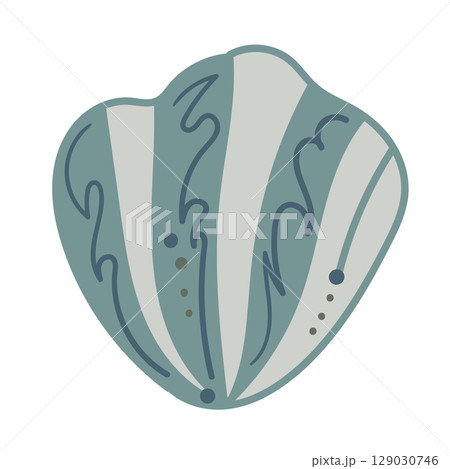Vector illustration of a single colored sea shell on white background. Elegant drawing for coastal graphic compositions. 129030746