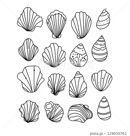Vector set of outline sea shells drawn in minimal line art style. Hand-drawn contour illustrations. Vector set of outline sea shells drawn in minimal line art style. Hand-drawn contour illustrations. 129030761