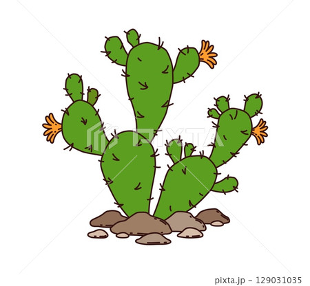 Cartoon groovy wild west western prickly pear cactus. Vector desert succulent plant with green paddle like segments, sharp spines and blooming flowers, symbolizes arid landscapes of American southwest 129031035