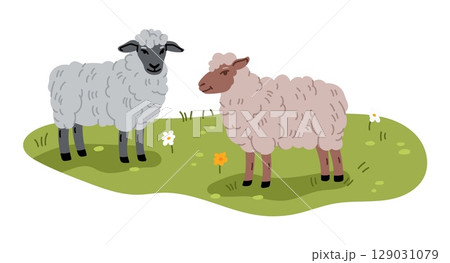 Two fluffy sheep, one gray and one brown gazing on grassy field with scattered flowers, representing peaceful farm and rural life. Cartoon flat vector domestic livestock animals with thick woolly coat Two fluffy sheep, one gray and one brown gazing on grassy field with scattered flowers, representing peaceful farm and rural life. Cartoon flat vector domestic livestock animals with thick woolly coat 129031079