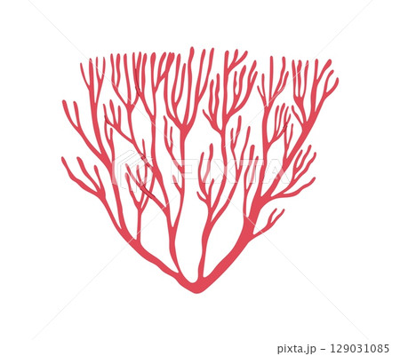 Coral reef underwater seaweed or algae. Ocean undersea flora isolated vector plant, sea reef red coral or sponge. Aquarium aquatic seaweed or tropical sea underwater algae 129031085