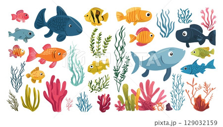 Underwater animals cartoon vector set. Corals algae ocean fish world sea tropical reef aquatic fauna marine species, isolated illustrations on white background Underwater animals cartoon vector set. Corals algae ocean fish world sea tropical reef aquatic fauna marine species, isolated illustrations on white background 129032159
