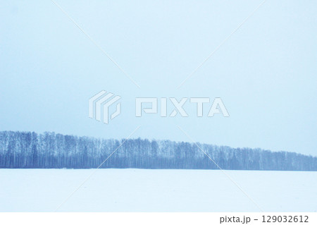 A dark forest on the horizon against the background of snow. Beautiful winter landscape. 129032612