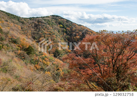 神奈川・湯河原の椿ラインから望む紅葉の山々。秋の絶景風景。 神奈川・湯河原の椿ラインから望む紅葉の山々。秋の絶景風景。 129032758