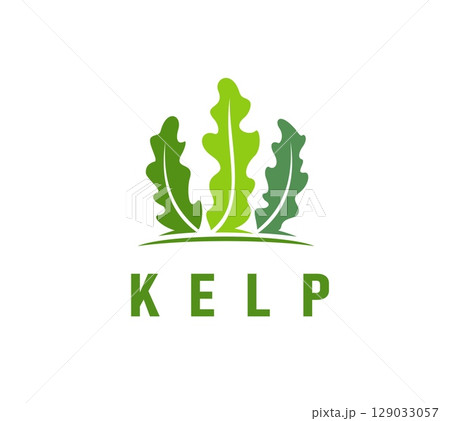 Kelp seaweed icon of underwater plant or sea algae of coral reef, vector emblem. Ocean water kelp plant or marine grass, aquatic spirulina or laminaria green leaf for aquarium seaweed or algae weed 129033057