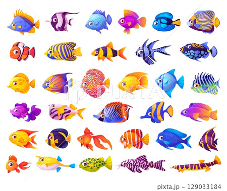 Tropical aquarium fish. Cartoon cute sea exotic underwater animal collection, goldfish marine clown red yellow fish character ocean under water dive life swanky vector illustration 129033184