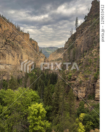 Dramatic Canyon View with Dense Forest and Stormy Skies 129033412