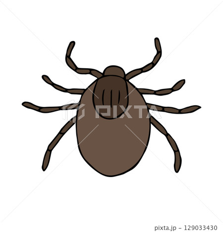 Vector hand drawn sketch doodle colored mite Vector hand drawn sketch doodle colored mite 129033430