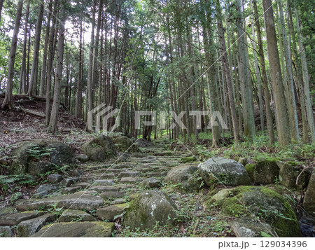 中山道大湫宿石畳の風景 129034396