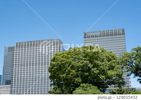 皇居前広場から見た高層ビル群 129035432