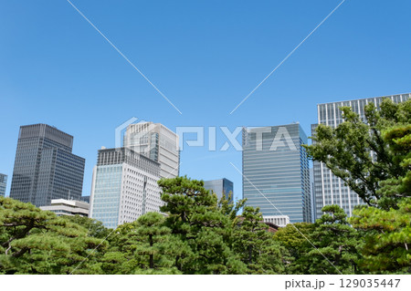 皇居前広場から見た高層ビル群 皇居前広場から見た高層ビル群 129035447