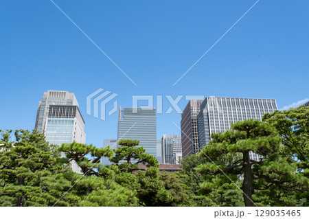 皇居前広場から見た高層ビル群 129035465