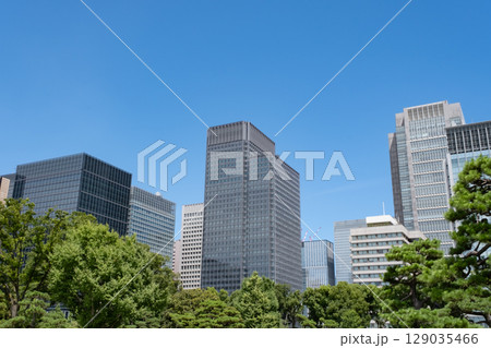 皇居前広場から見た高層ビル群 129035466
