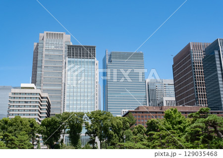 皇居前広場から見た高層ビル群 129035468