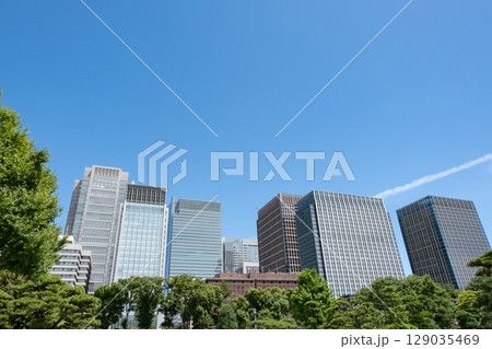 皇居前広場から見た高層ビル群 皇居前広場から見た高層ビル群 129035469