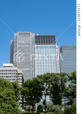 皇居前広場から見た高層ビル群 129035471