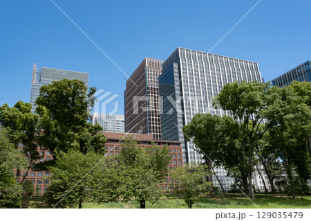 皇居前広場から見た高層ビル群 129035479