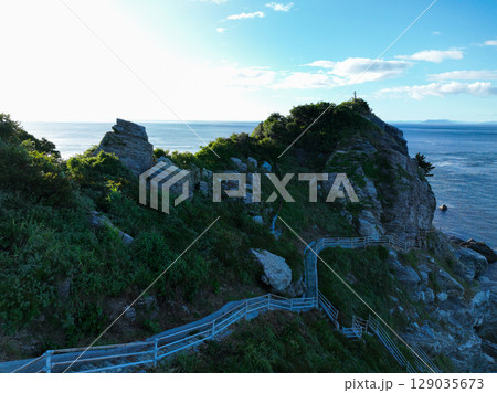 愛媛県伊方町　番匠鼻 129035673