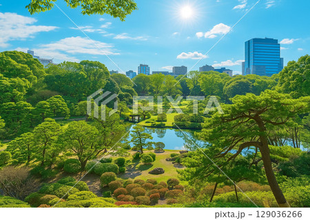 若葉と新緑の六義園 129036266