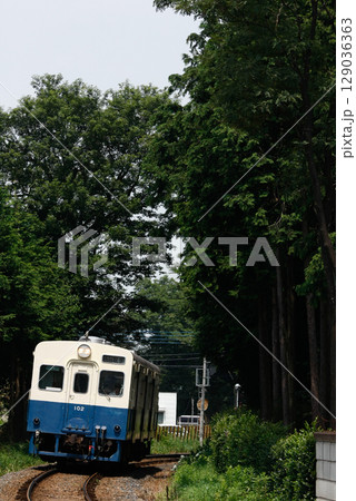 関東鉄道常総線の風景 国鉄型車両のキハ100系 関東鉄道常総線の風景 国鉄型車両のキハ100系 129036363