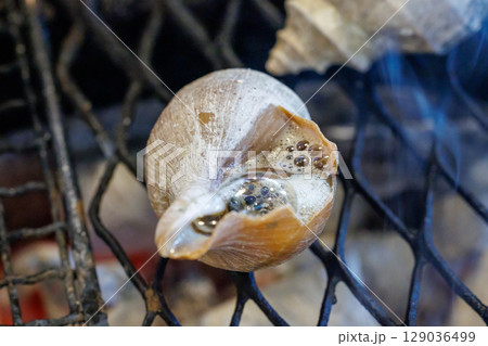 つぶ貝 129036499