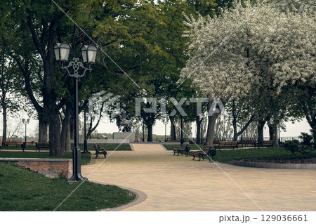 Peaceful Spring Park with Benches and Blooming Trees 129036661