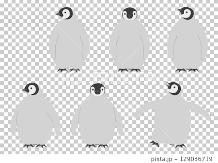 一組面向前方的帝王企鵝寶寶插圖 129036719