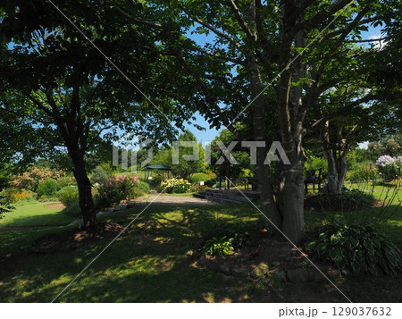 東御市　ワイナリー 129037632