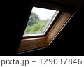 屋根裏の天窓から見える森 129037846