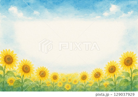 ポストカード　ヒマワリ 129037929