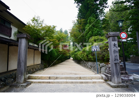 世界遺産高野山の情景　蛇腹道 129038004