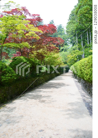 世界遺産高野山の情景　蛇腹道 129038008