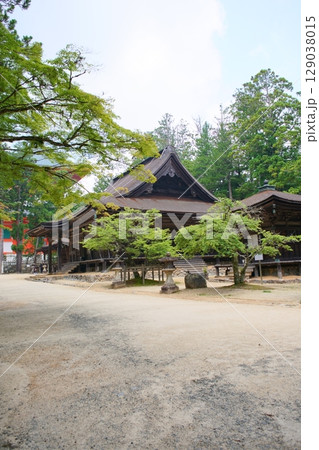 世界遺産高野山の情景　大会堂と西行桜 129038015