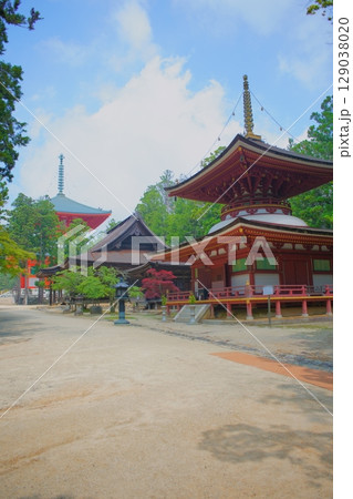世界遺産高野山の情景　蛇腹道から東塔を望む 129038020