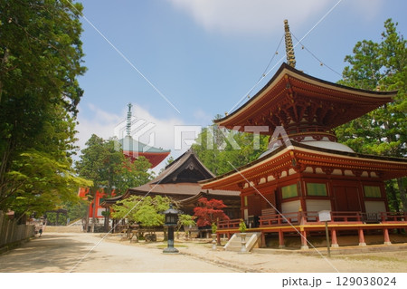 世界遺産高野山の情景　蛇腹道から東塔を望む 129038024