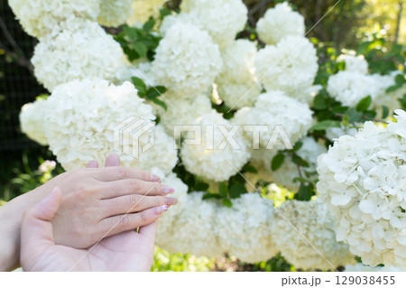 癒しと優しさの春の記憶① 129038455